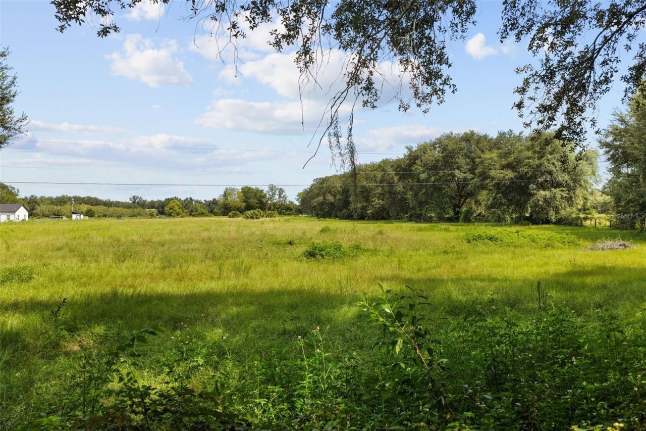 1869 SW 32nd Place, Bell, FL 32619 Photo