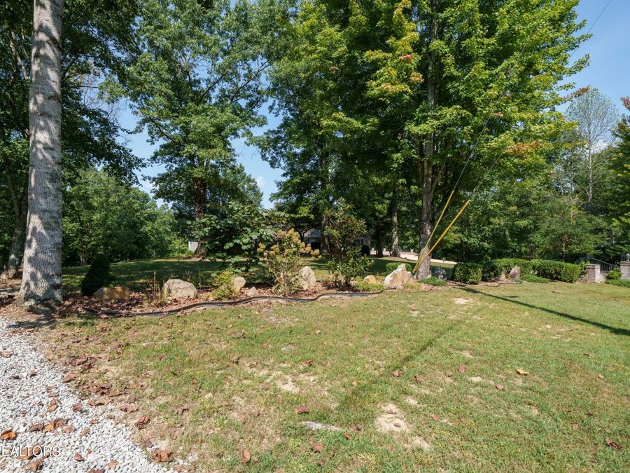 Property Image 58