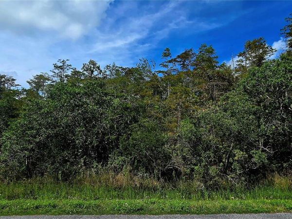 PIERRE AVENUE , Unit Lot 162, ST CLOUD, FL 34773