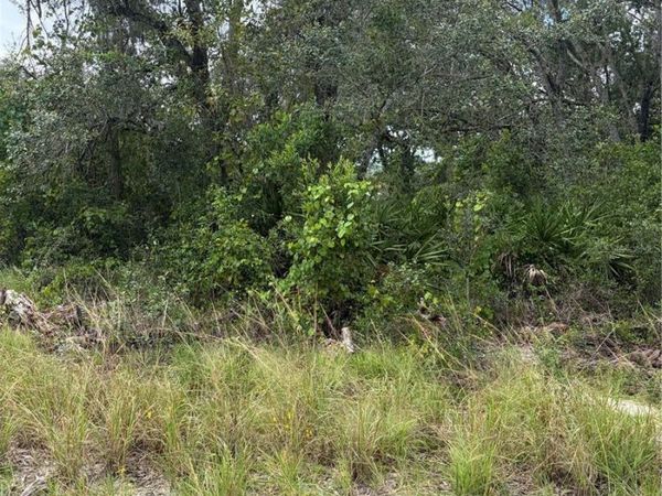 10333 GILMER , NEW PORT RICHEY, FL 34654