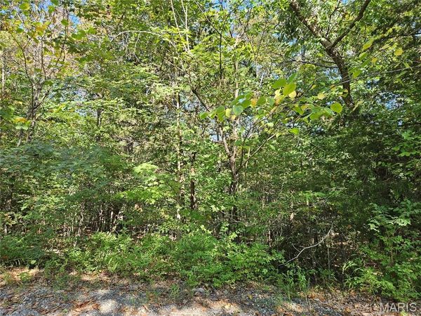 9488 Bent Tree Drive , Hillsboro, MO 63050