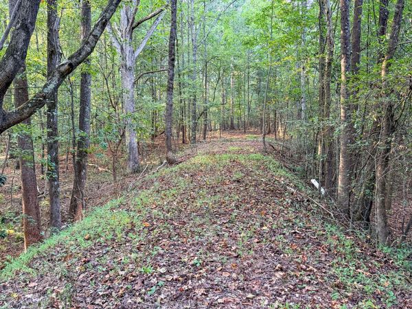 1291 Dials Mill SPUR, Statham, GA 30666