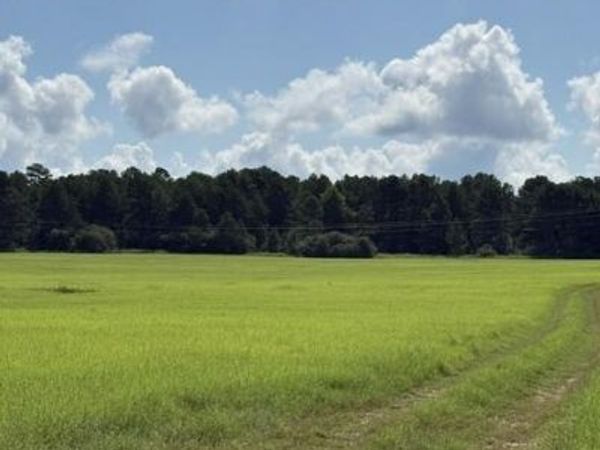 0 An Cnounty Road 1231 , Palestine, TX 75801