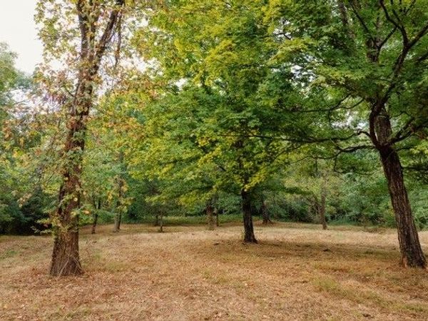 0 Lula Ln, Unit 1, Franklin, TN 37064