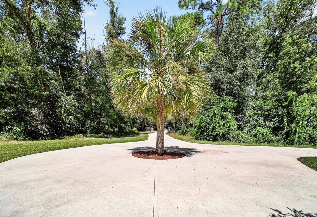 5854 NE 43rd Lane Road, Silver Springs, FL 34488 Photo
