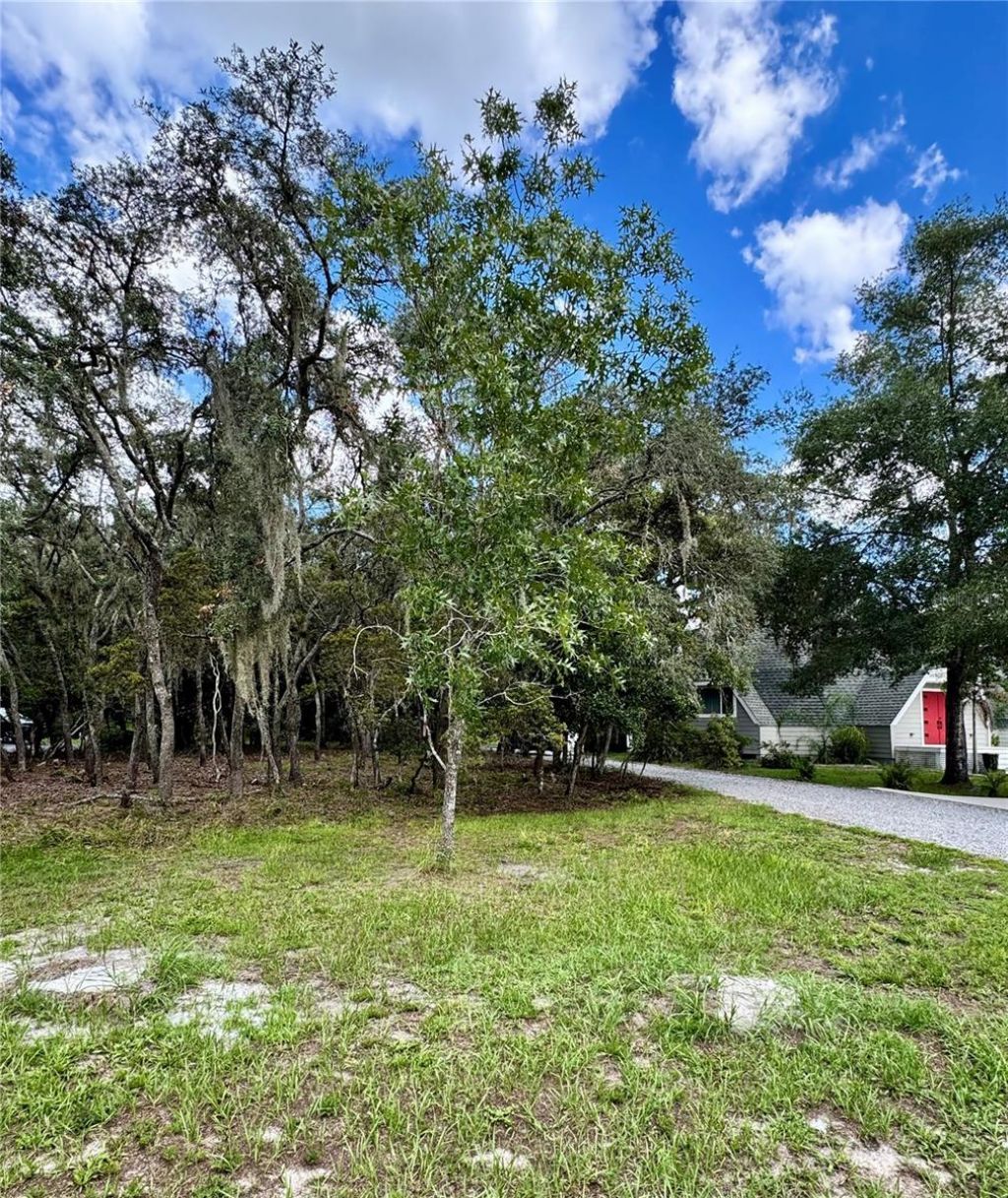 9710 Black Bear Court, New Port Richey, FL 34654 Photo