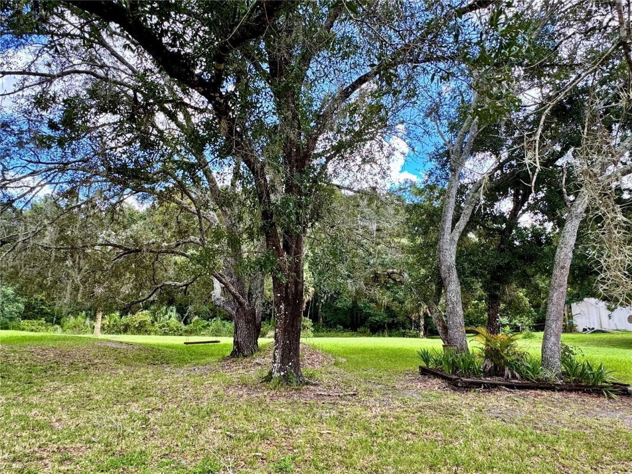 9710 Black Bear Court, New Port Richey, FL 34654 Photo