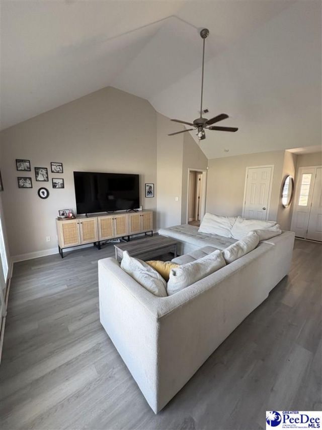 909 Orion Hills Court Photo 5