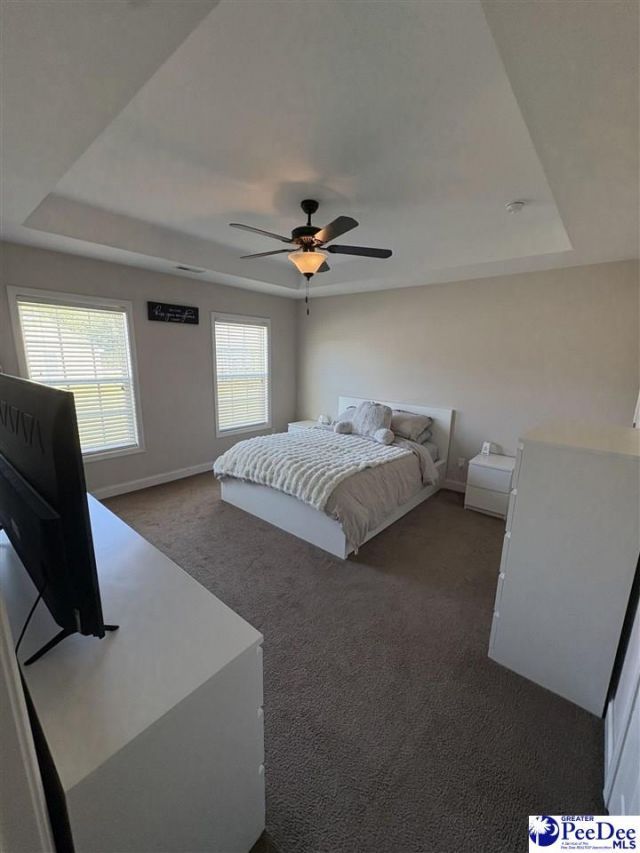909 Orion Hills Court Photo 8