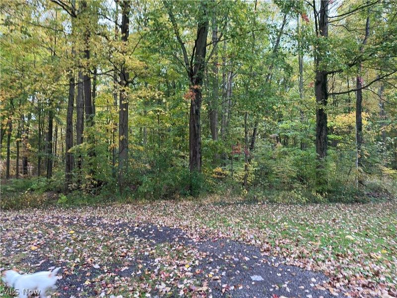 7193 Woodard Road, Andover, OH 44003 Photo 43