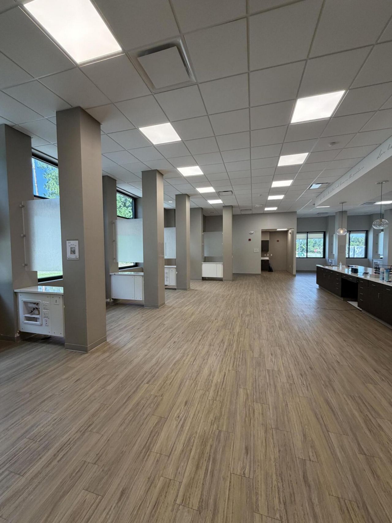 422 Drive In Lane  Photo 18