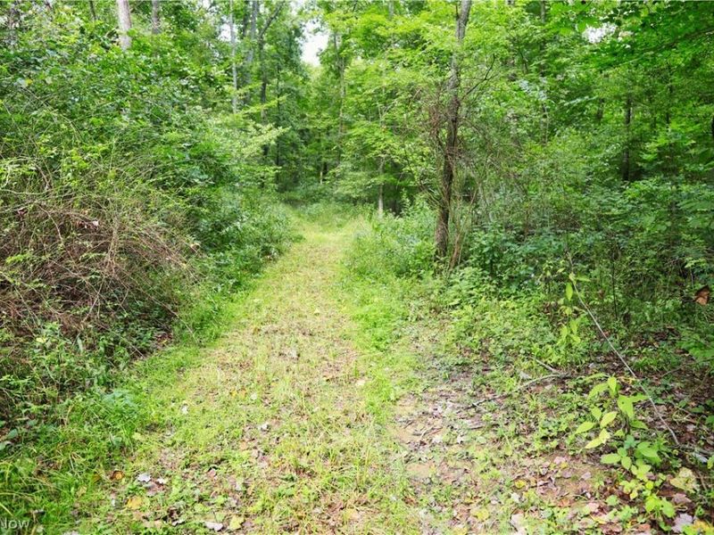 Township Road 212, Fresno, OH 43824 Photo 10