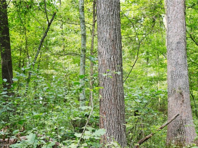 Township Road 212, Fresno, OH 43824 Photo 11