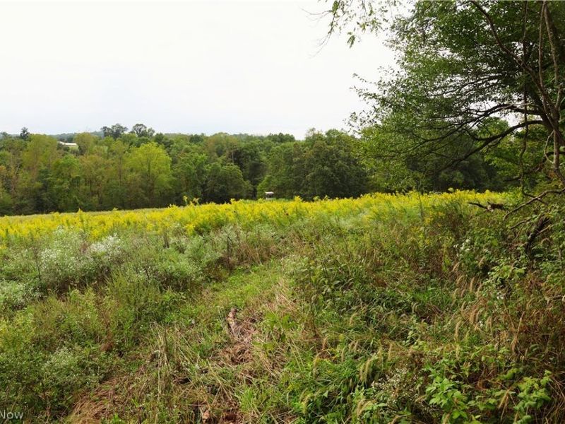 Township Road 212, Fresno, OH 43824 Photo 12