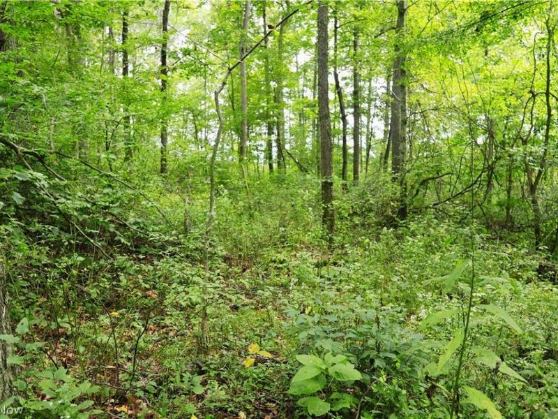 Township Road 212, Fresno, OH 43824 Photo 13