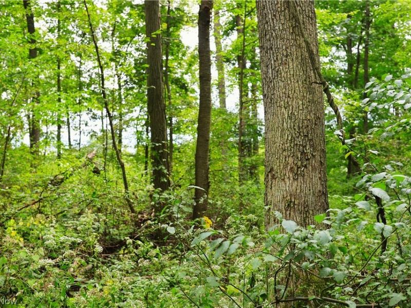 Township Road 212, Fresno, OH 43824 Photo 14