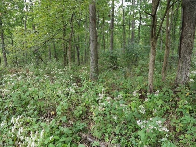 Township Road 212, Fresno, OH 43824 Photo 15
