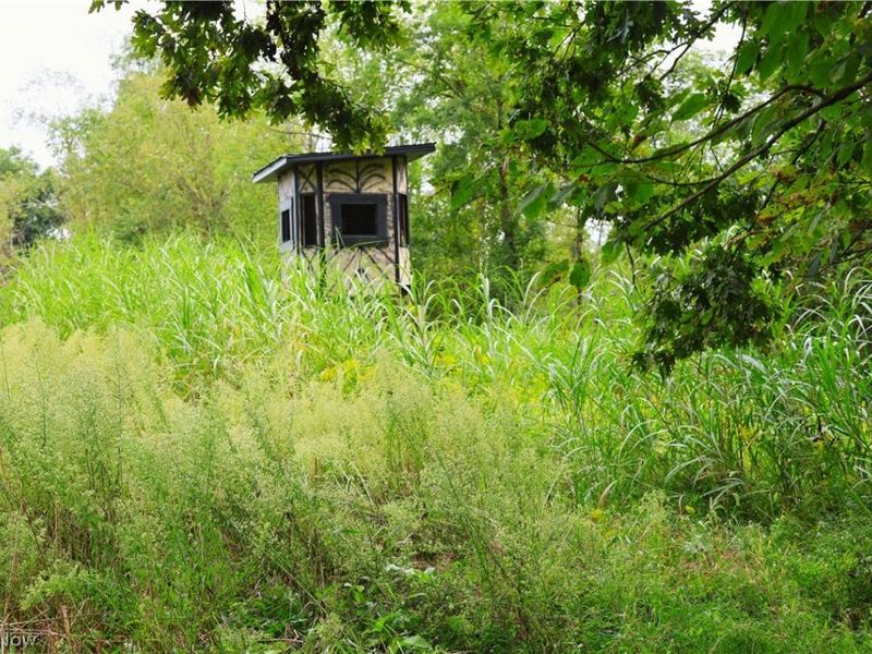 Township Road 212, Fresno, OH 43824 Photo 17