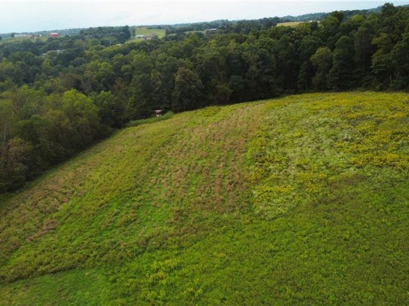 Township Road 212, Fresno, OH 43824 Photo 18