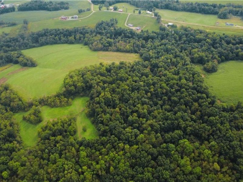 Township Road 212, Fresno, OH 43824 Photo 19