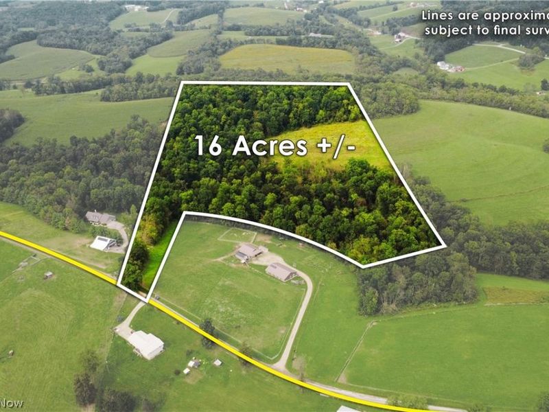Township Road 212, Fresno, OH 43824 Photo 2