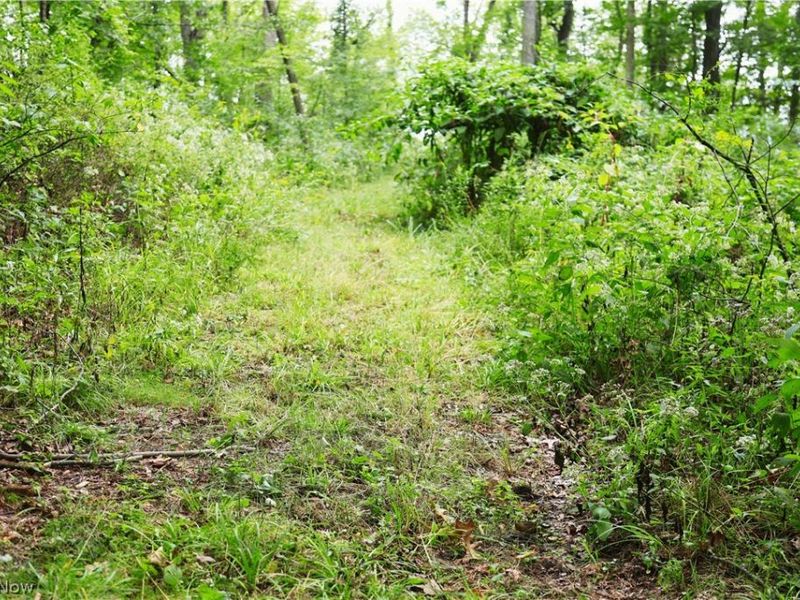 Township Road 212, Fresno, OH 43824 Photo 22