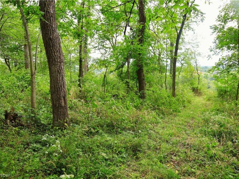 Township Road 212, Fresno, OH 43824 Photo 23