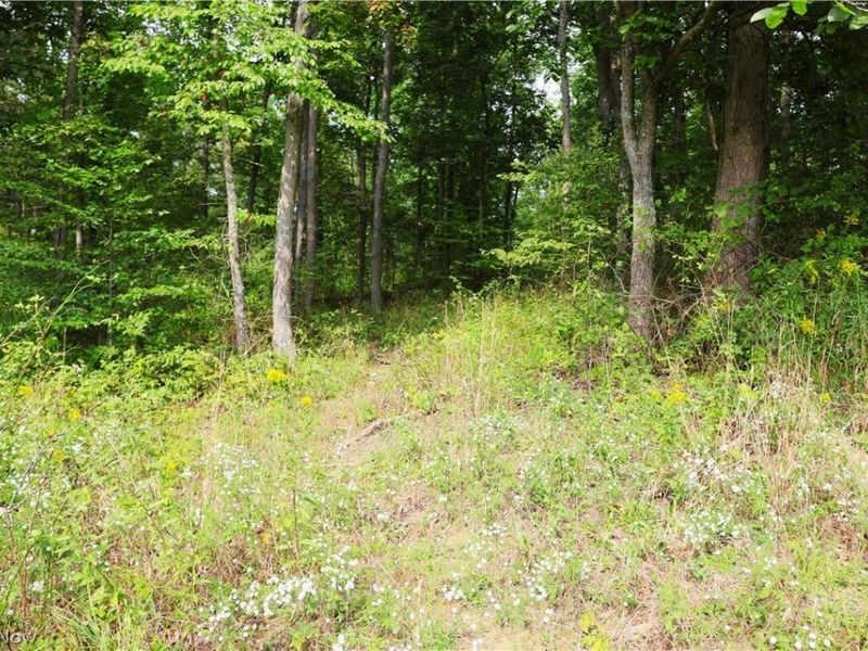 Township Road 212, Fresno, OH 43824 Photo 26