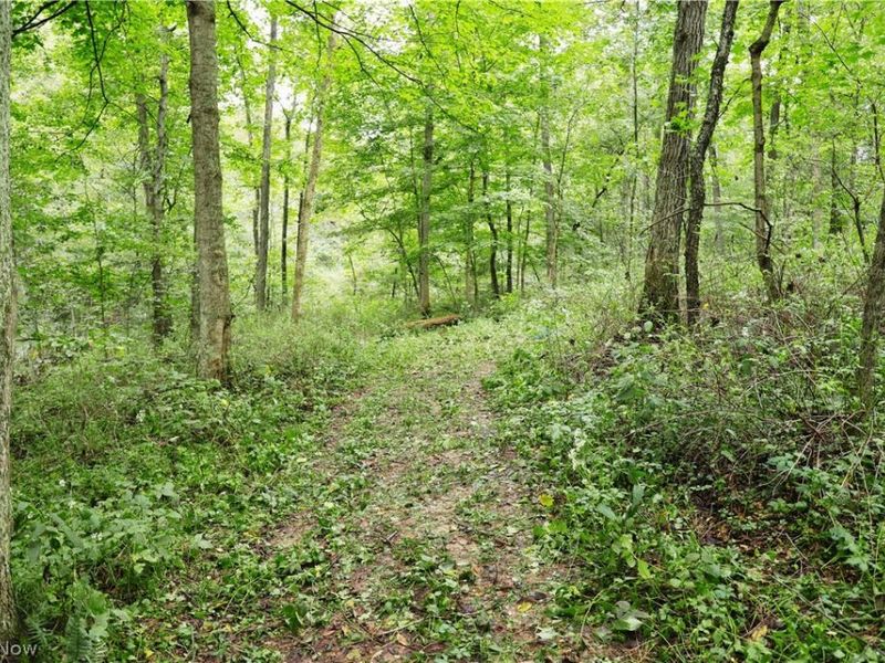 Township Road 212, Fresno, OH 43824 Photo 27