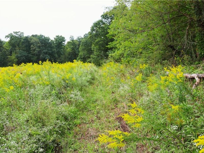 Township Road 212, Fresno, OH 43824 Photo 32