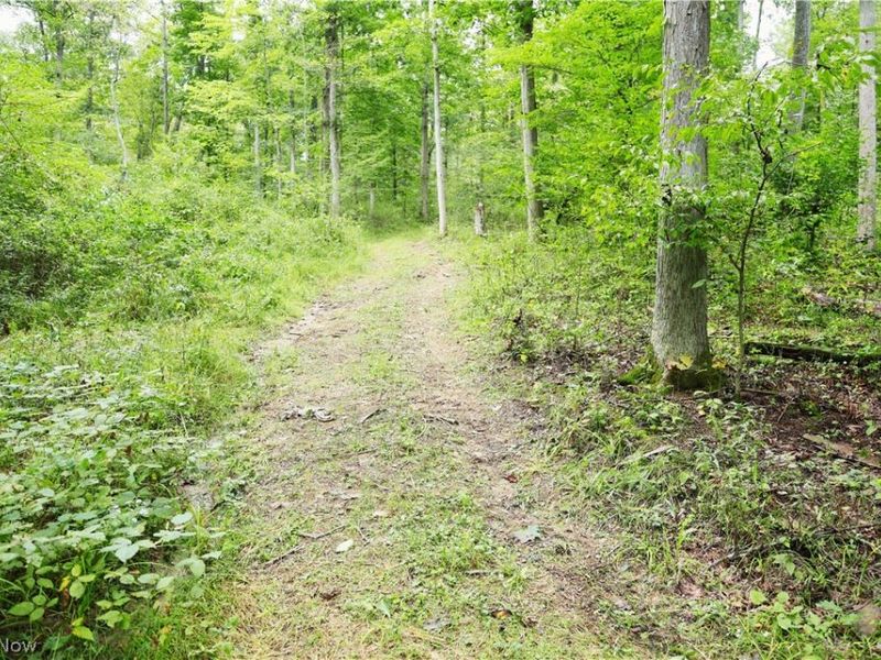 Township Road 212, Fresno, OH 43824 Photo 33