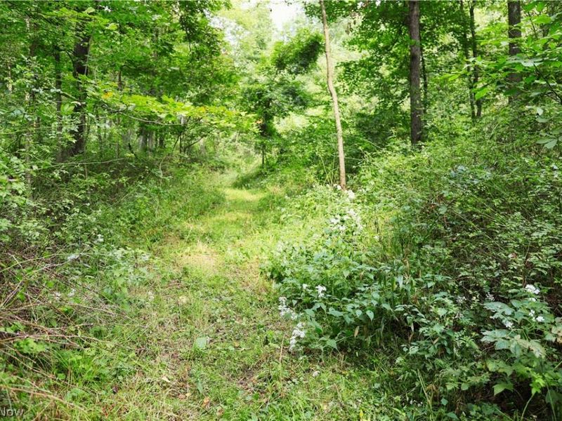 Township Road 212, Fresno, OH 43824 Photo 36