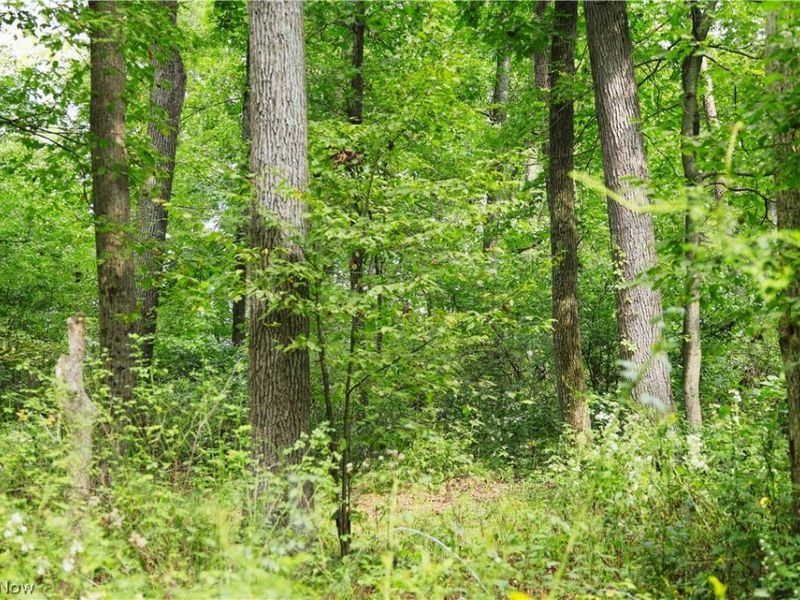 Township Road 212, Fresno, OH 43824 Photo 37