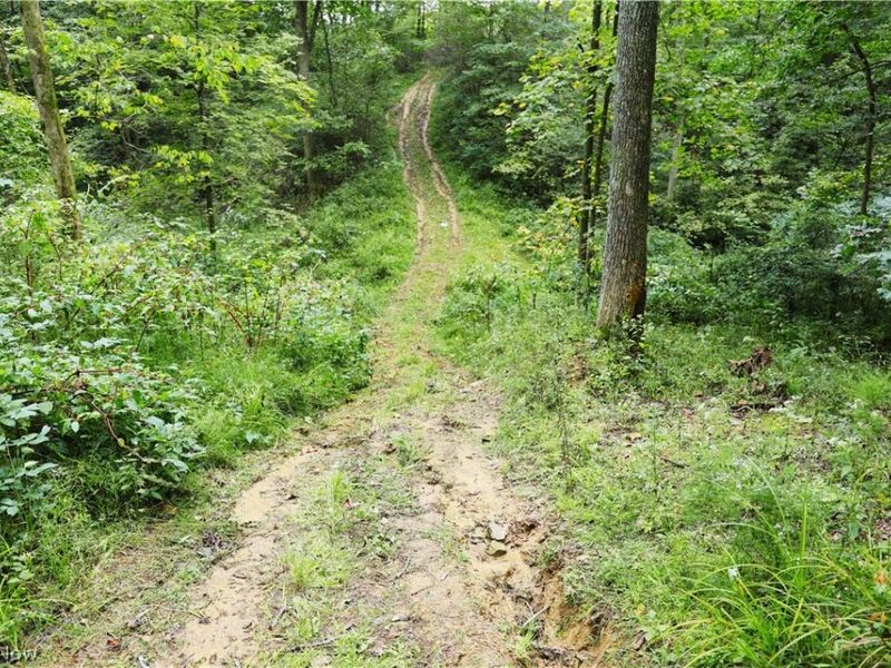 Township Road 212, Fresno, OH 43824 Photo 38