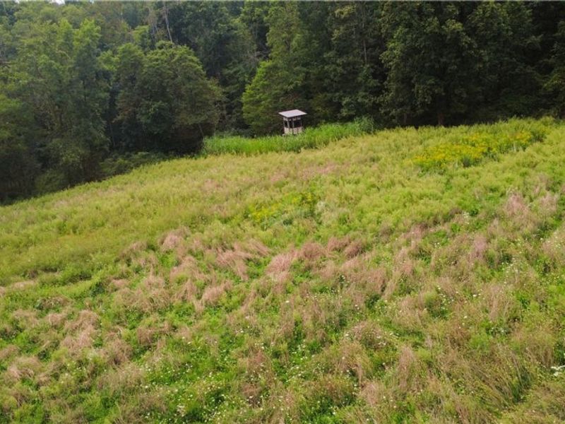 Township Road 212, Fresno, OH 43824 Photo 39