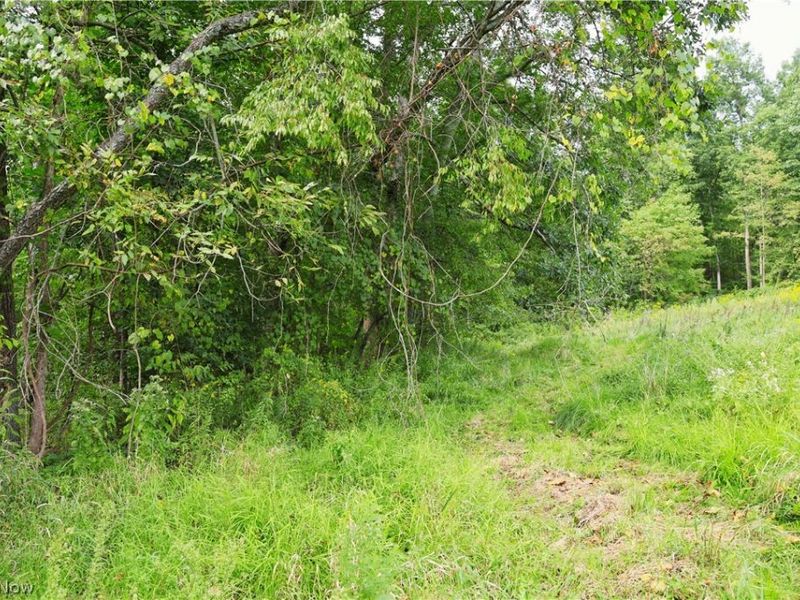 Township Road 212, Fresno, OH 43824 Photo 40