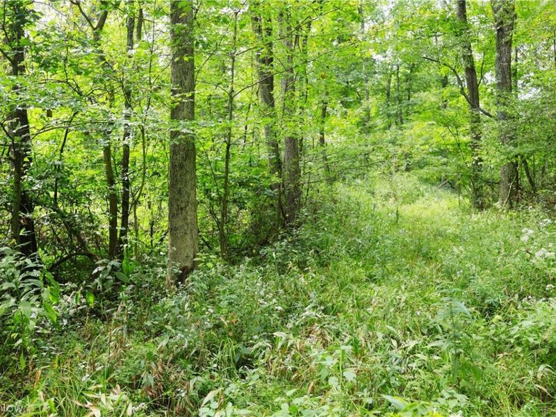 Township Road 212, Fresno, OH 43824 Photo 42