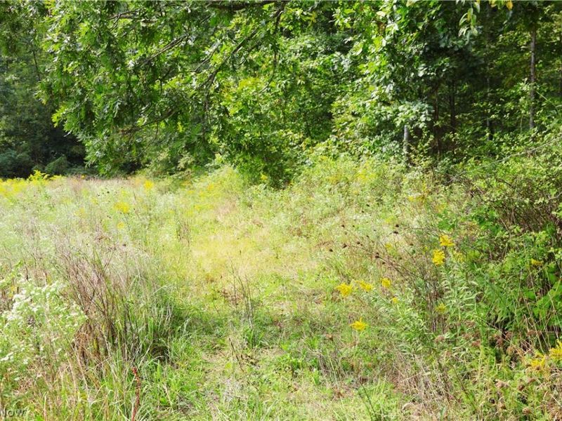 Township Road 212, Fresno, OH 43824 Photo 44