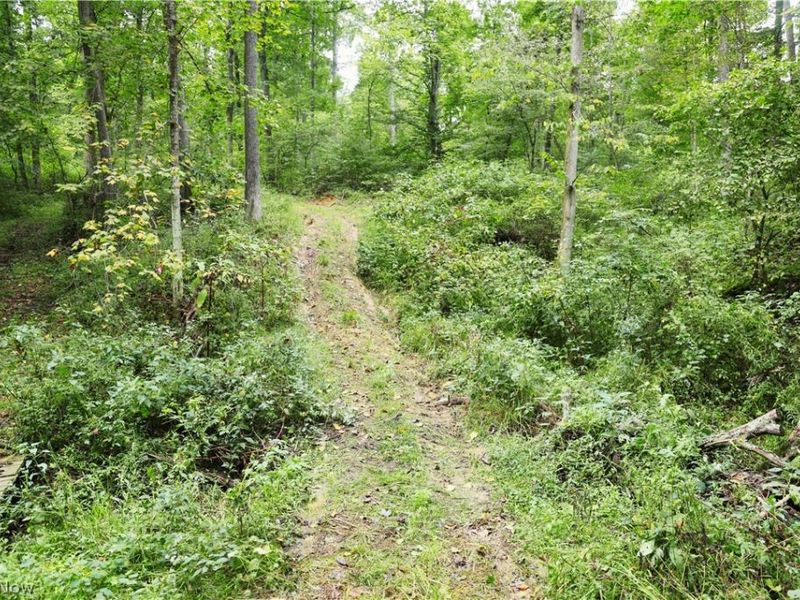 Township Road 212, Fresno, OH 43824 Photo 47