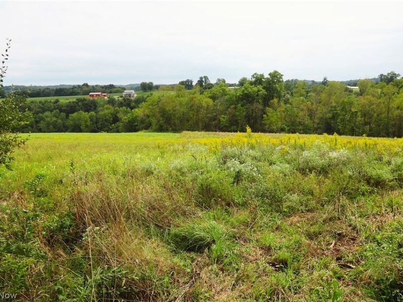 Township Road 212, Fresno, OH 43824 Photo 48