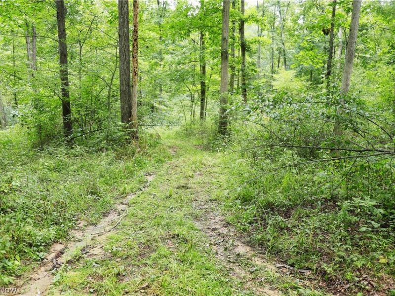 Township Road 212, Fresno, OH 43824 Photo 49