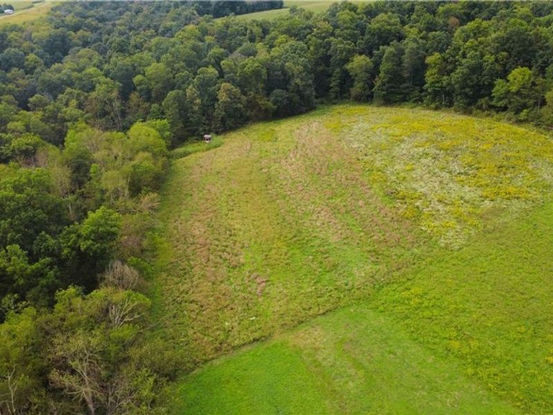 Township Road 212, Fresno, OH 43824 Photo 6