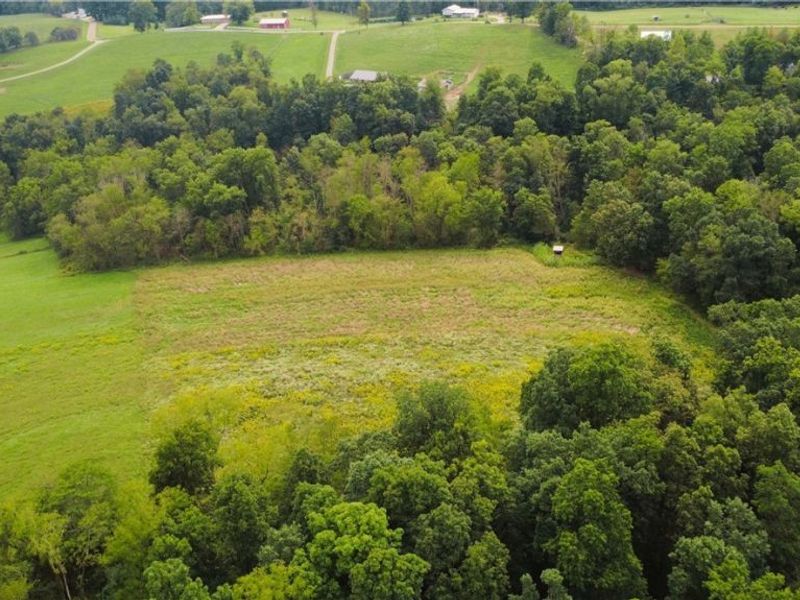 Township Road 212, Fresno, OH 43824 Photo 7