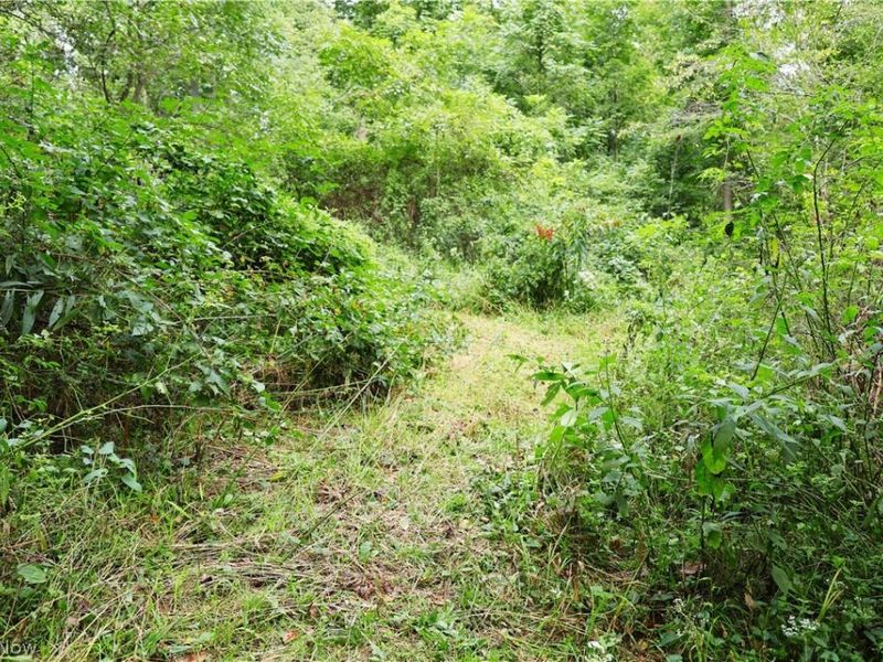 Township Road 212, Fresno, OH 43824 Photo 9
