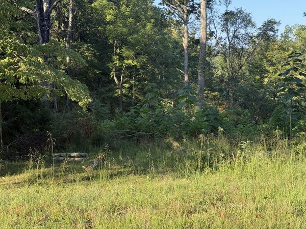 1190 Bell Hollow Rd , Vanleer, TN 37181