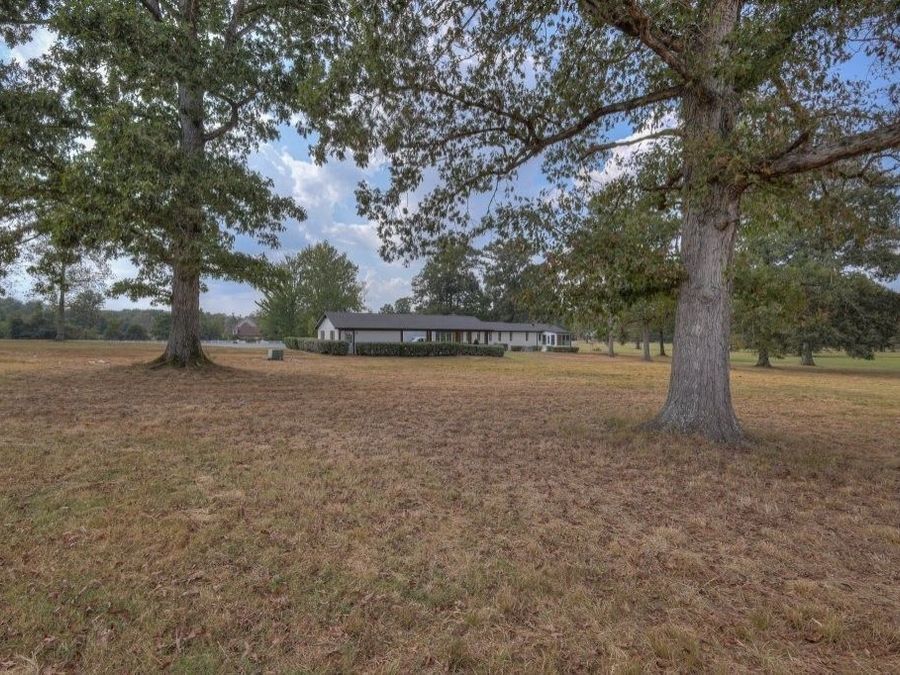 Property Image 83