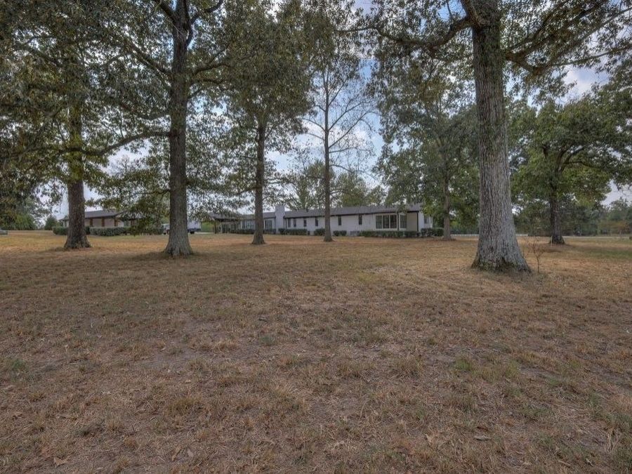 Property Image 89