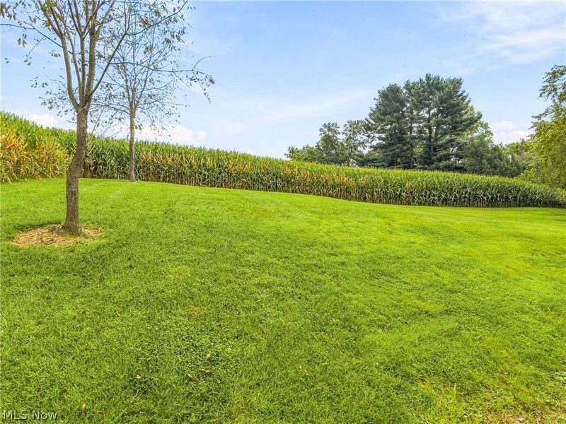 3633 Blacksnake Hill Road NE, Dover, OH 44622 Photo 26