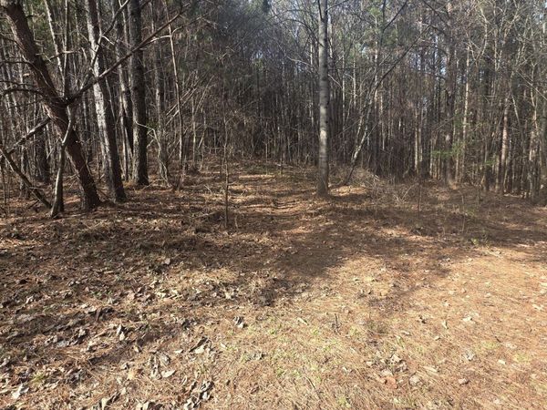 180 Rock Creek Drive , Old Fort, TN 37362