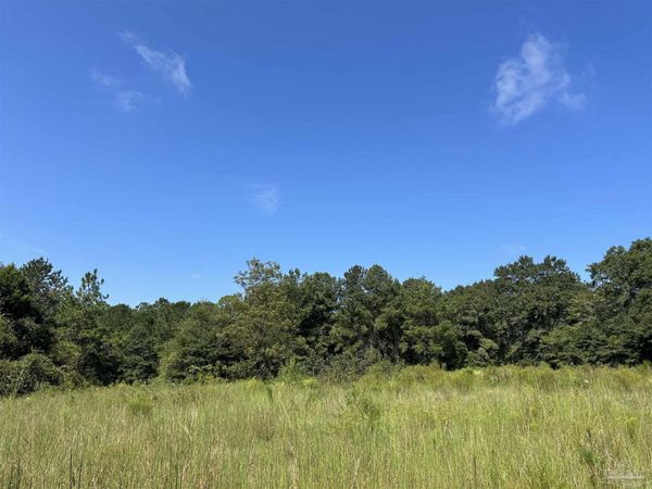 4949 Dobson Rd, Jay, FL 32565
